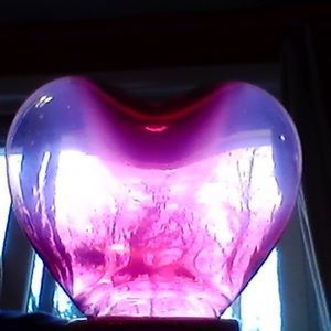 Meet your Posher, Cameron